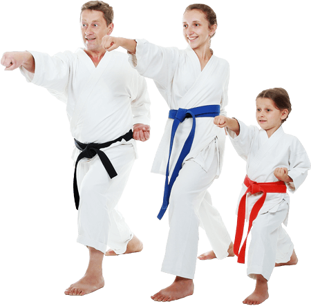 martial arts for families