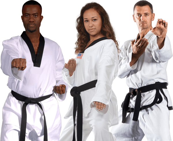 adult martial arts